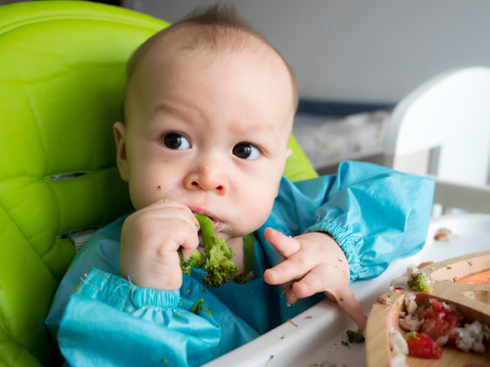 Bébé assis dans une chaise haute munie d’un coussin vert, portant un plastron bleu et tenant des morceaux de brocoli. Le plateau de la chaise haute contient de la nourriture éparpillée, y compris du brocoli et d’autres aliments mélangés.