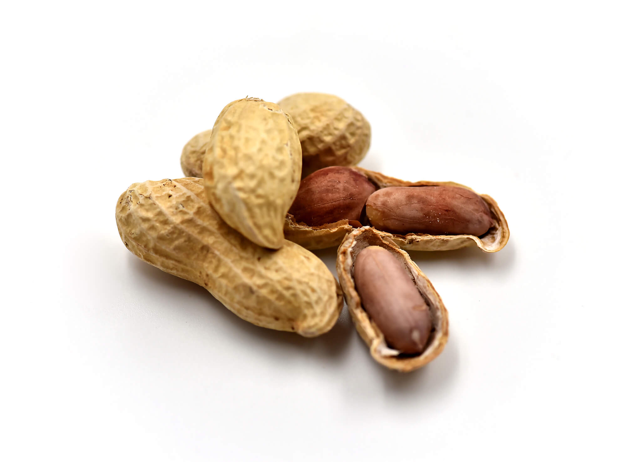 Wondering about Food Allergies?