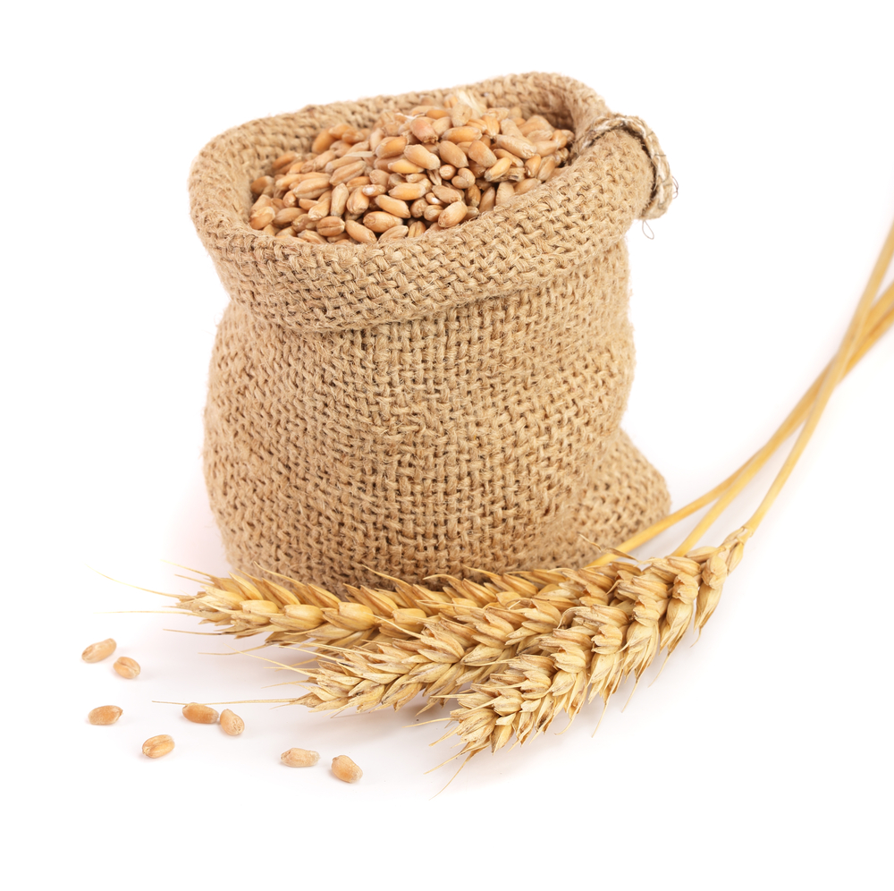 Trois tiges de blé devant un sac en jute rempli de grains de blé